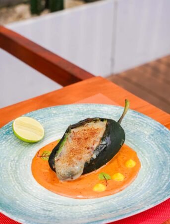 Stuffed Poblano Pepper 343x514x0x32x343x450x1722938325